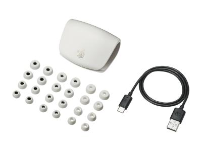 Audio Technica In-Ear True Wireless Noise-Cancelling Headphones - ATH-TWX9MK2WH